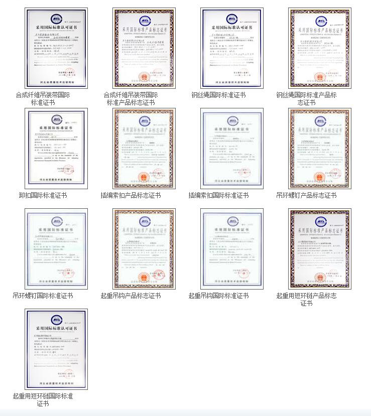 采用國際標準證書